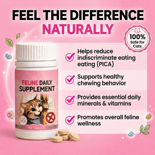 Feline Daily Supplement