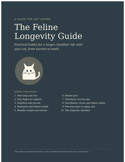 Feline Longevity Guide