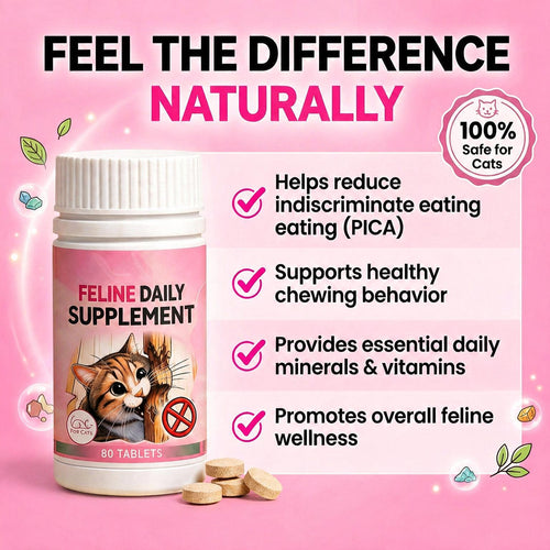 Feline Daily Supplement