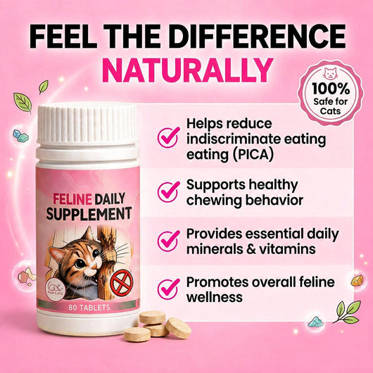 Feline Daily Supplement