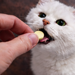 Administer the Tablet